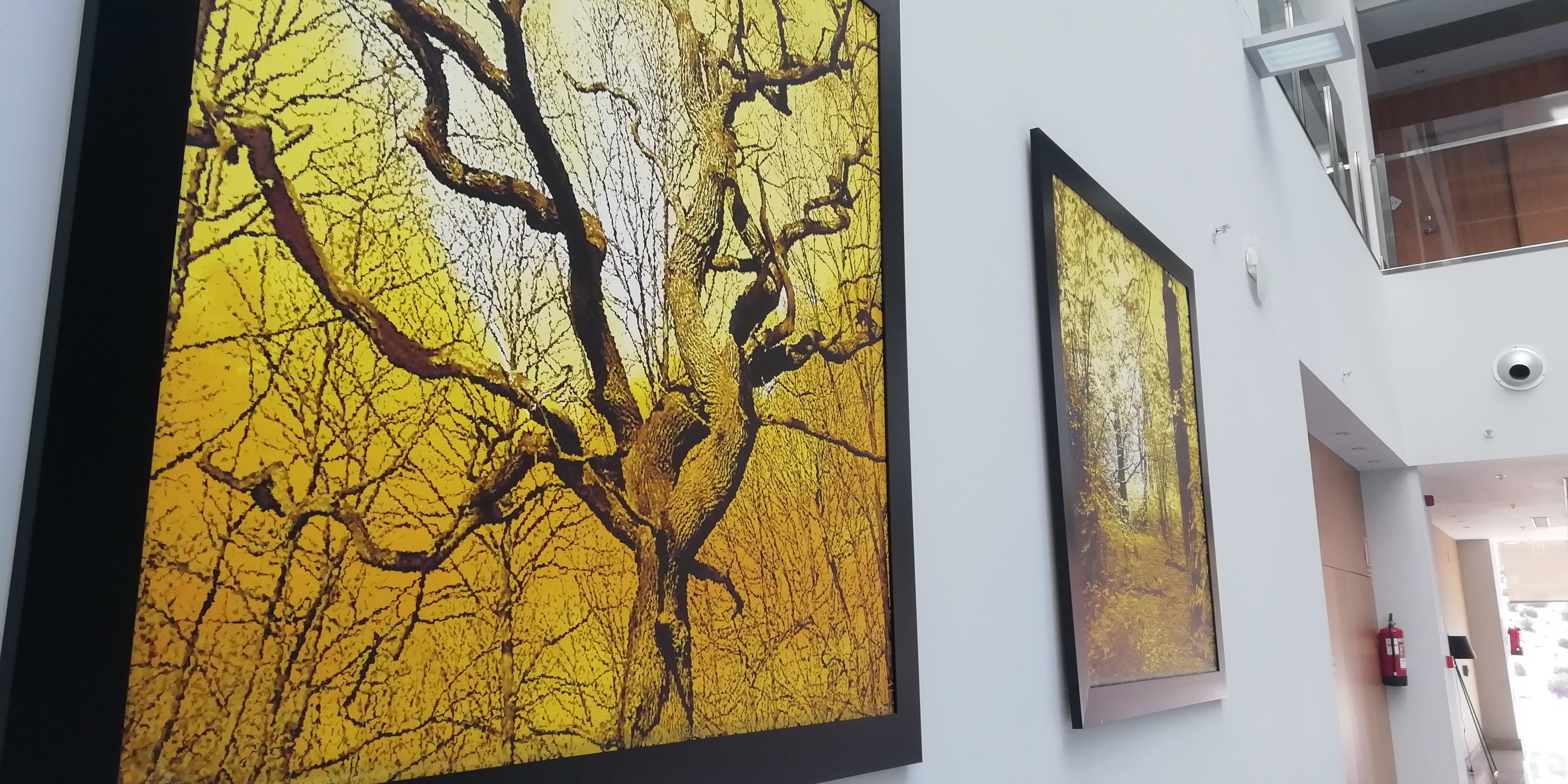 Hotel Ciudad De Ponferrada, Ascend Hotel Collection Εξωτερικό φωτογραφία